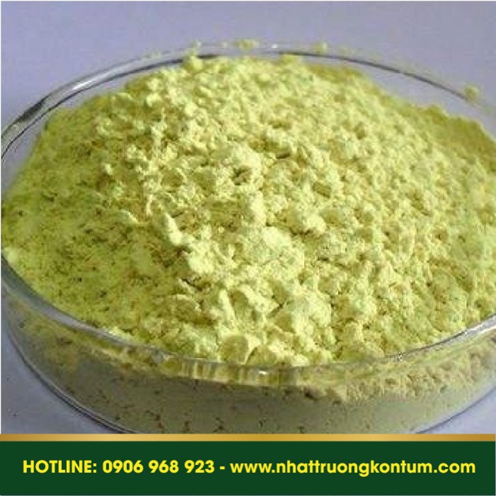 Bột Hoa Hòe Nhật Trường Kon Tum - Styphnolobium japonicum - Sophora japonica Vietnam Powder - Túi 1kg