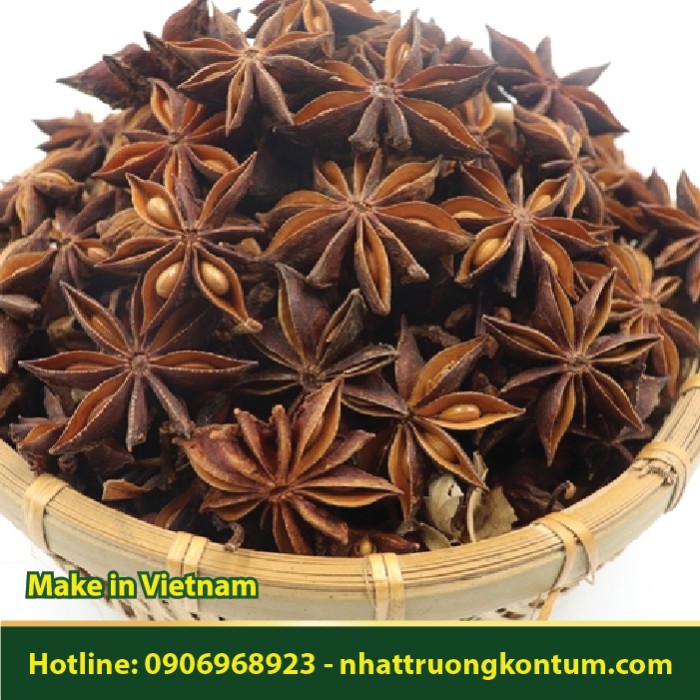 Hoa Hồi - Illicium verum Vietnam - Túi 1kg