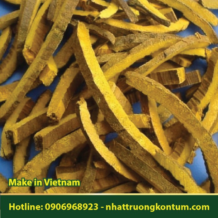 Hoàng Bá Khô - Phellodendron amurense  - Túi 1kg