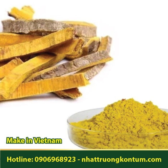 Bột Hoàng Bá - Phellodendron amurense Powder - Túi 1kg