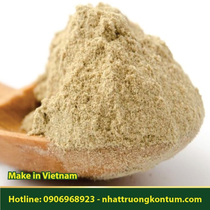 Bột Hoàng Kỳ Nam - Cây Vú Bò - Ficus heterophyllus Powder Vietnam - Túi 1kg