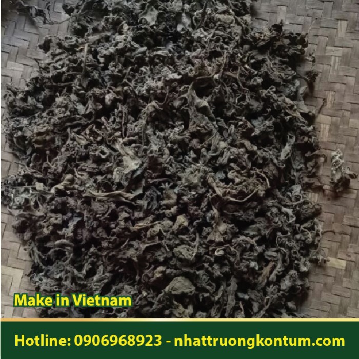 Húng Chanh Khô - Coleus amboinicus Dried Vietnam - Túi 1kg