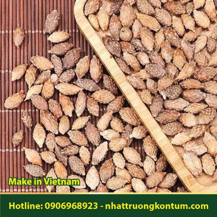 Ké Đầu Ngựa - Xanthium strumarium Vietnam - Túi 1kg