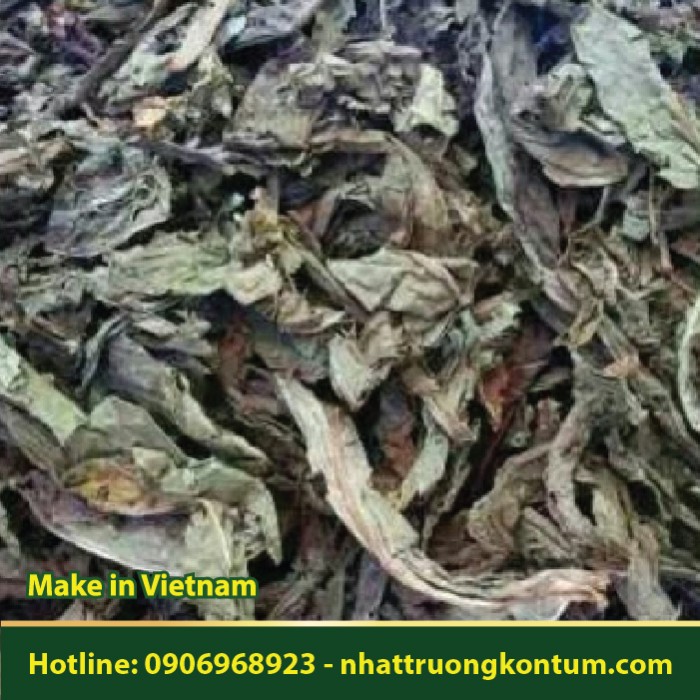 Lá Khôi Nhung - Acanthopanax trifoliatus - Túi 1kg