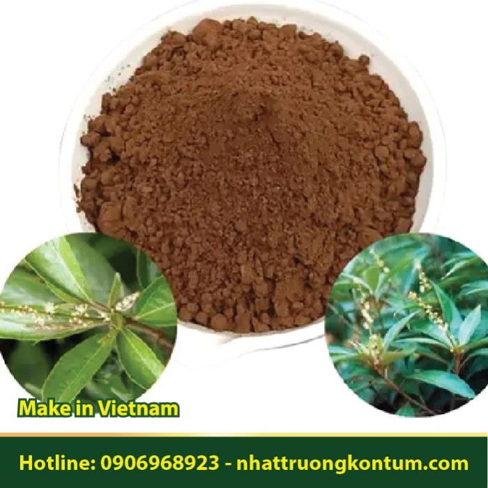 Bột Khổ Sâm Cho Lá - Croton tonkinensis Gagnep Powder - Túi 1kg
