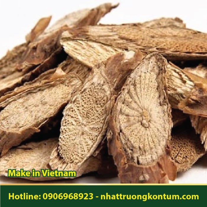 Dây Ký Ninh Khô - Dây Thần Thông - Dây Cóc - Tinospora crispa - Túi 1kg
