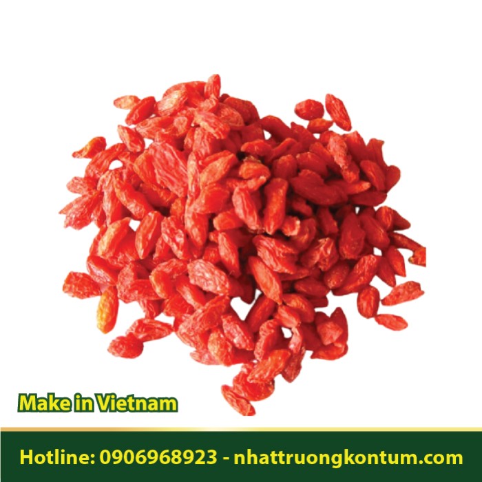 Kỷ Tử - Lycium barbarum - Túi 1kg