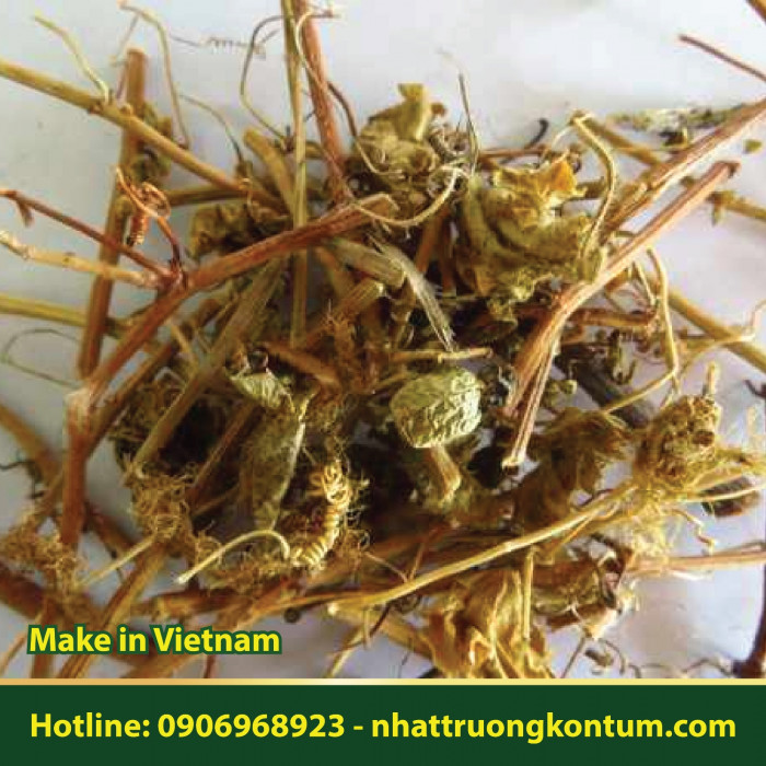 Lạc Tiên - Nhãn Lồng Nhật Trường Kon Tum - Passiflora foetida Vietnam - Túi 1kg