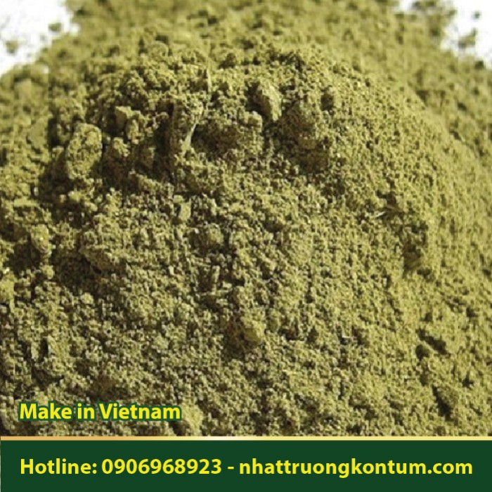 Bột Lá Đinh Lăng Tây Nguyên khô - Polyscias fruticosa Leaf Powder - Túi 1kg