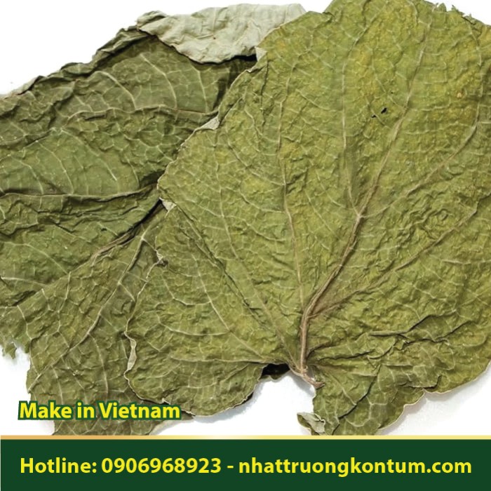 Lá Dổi Đất - Piper auritum - Túi 1kg