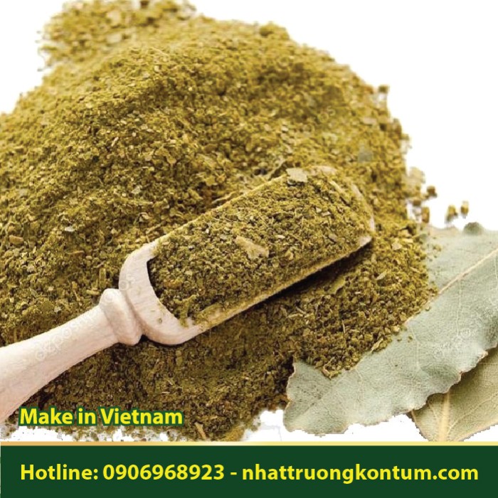 Bột Lá Nguyệt Quế - Laurus nobilis Powder - Túi 0.5kg