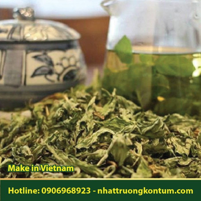 Lá Sen Khô Việt Nam - Nelumbo nucifera Vietnam - Túi 1kg