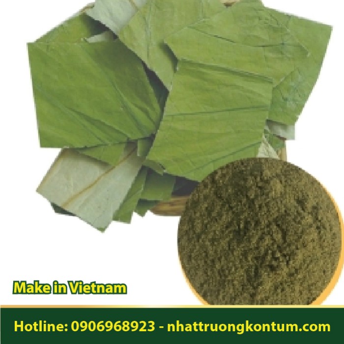 Bột Lá Sen Khô Việt Nam - Nelumbo nucifera Powder Vietnam - Túi 1kg