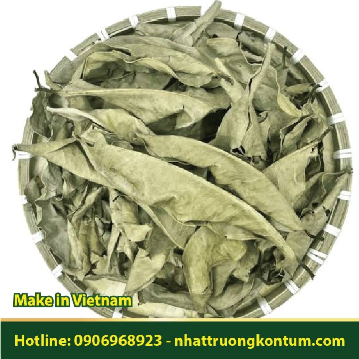 Lá Vối Khô - Cleistocalyx operculatus - Túi 1kg
