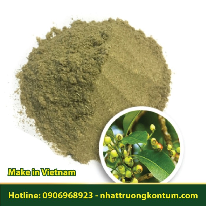 Bột Lá Vối - Cleistocalyx operculatus Powder - Túi 1kg