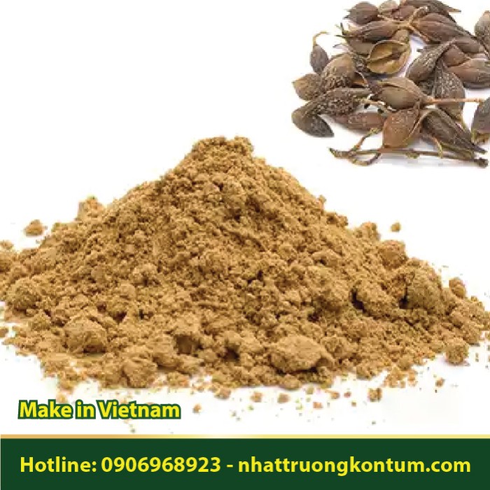 Bột Liên Kiều - Forsythia suspensa  Powder - Túi 1kg