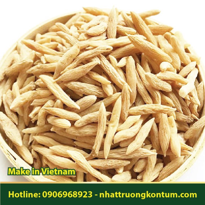 Củ Mạch Môn Việt Nam - Ophiopogon japonicus Kon Tum Vietnam - Túi 1kg