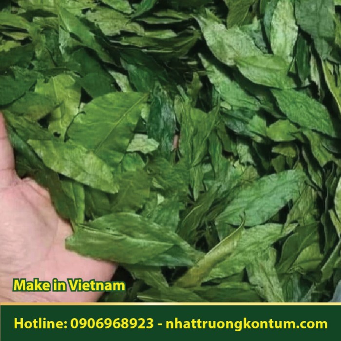 Lá Mắc Mật - Móc Mật - Clausena indica - Túi 1kg