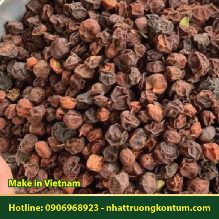 Quả Mắc Mật - Móc Mật - Clausena indica - Túi 1kg
