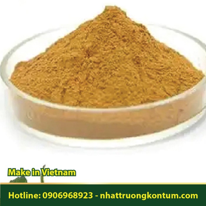 Bột Lá Mã Đề - Plantago major Powder Vietnam - Túi 1kg