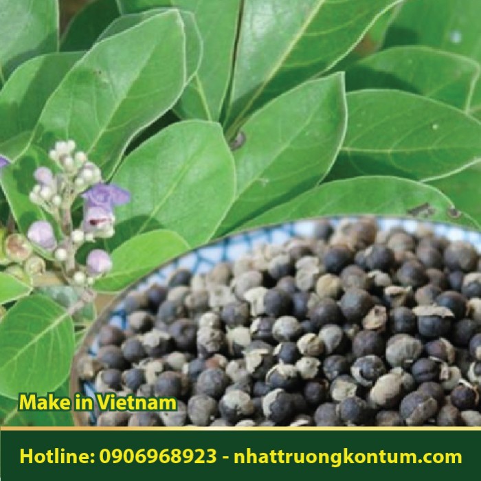 Mạn Kinh Tử - Vitex trifolia - Túi 0.5kg
