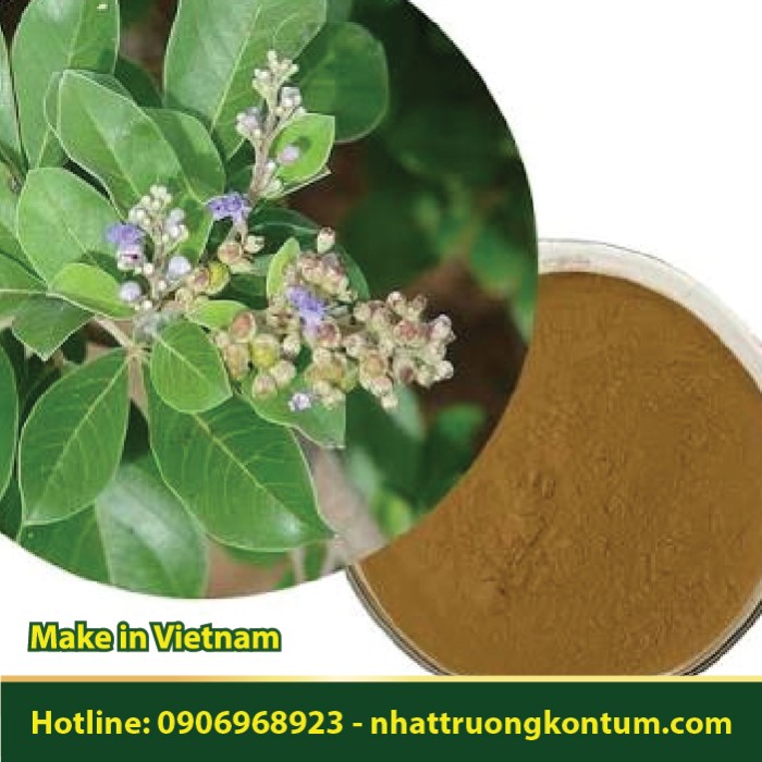Bột Mạn Kinh Tử - Vitex trifolia Powder - Túi 0.5kg