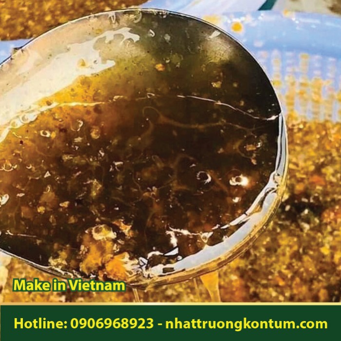 Mật Ong Đắng Kon Tum Nguyên Chất - Wild Bitter Honey Vietnam - 1kg