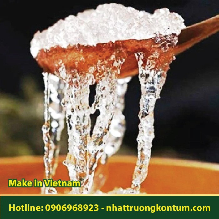 Mủ Trôm - Sterculia foetida Dried Vietnam - Túi 0.5kg