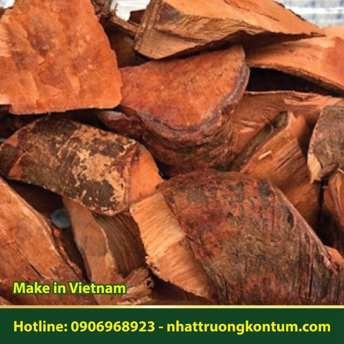 Mú Từn Khô - Dây Lửa Ít Gân - Rourea oligophlebiaroots dried - Túi 1kg