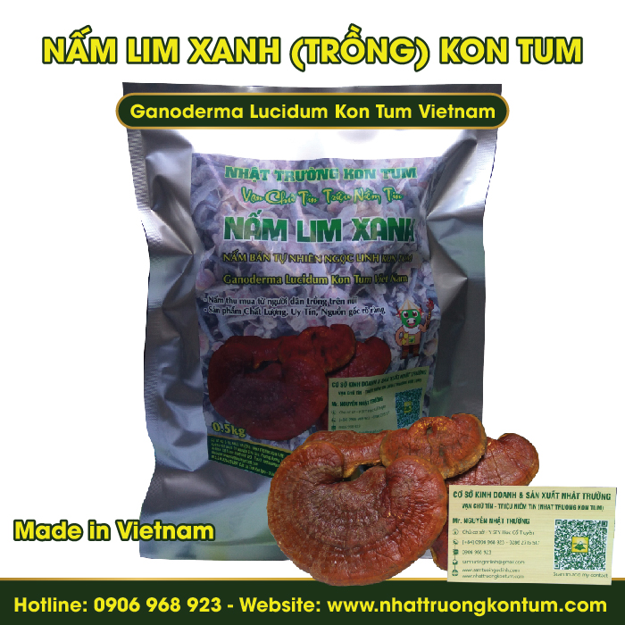 Nấm Lim Xanh Trồng Bán Tự Nhiên Kon Tum - Ganoderma Lucidum Kon Tum Vietnam - Túi 0.5kg