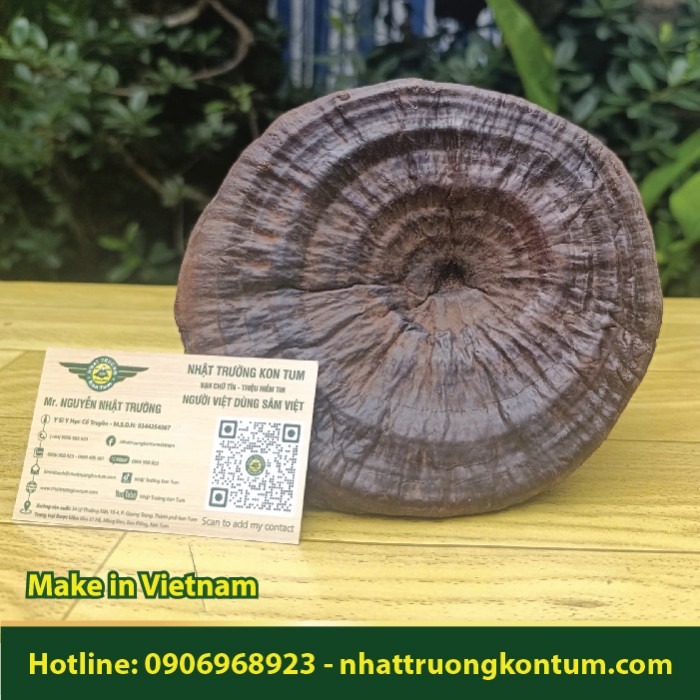 Nấm Hắc Chi - Black lingzhi mushroom Kon Tum Vietnam - Túi 0.5kg