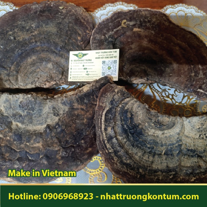 Nấm Hồng Chi Rừng Việt Nam - Ganoderma lucidum Forest Kon Tum Vietnam - Túi 0.5kg