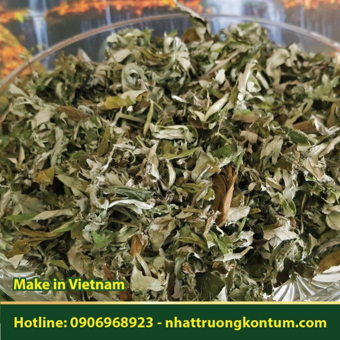 Ngải Cửu Khô - Artemisia vulgaris - Túi 1kg