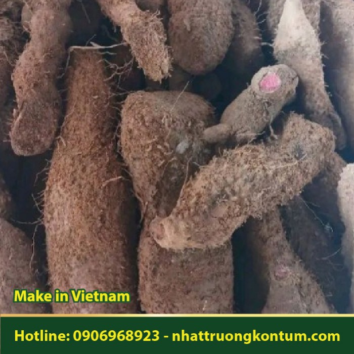 Ngũ Gia Bì Gai - Acanthopanax trifoliatus - Túi 1kg