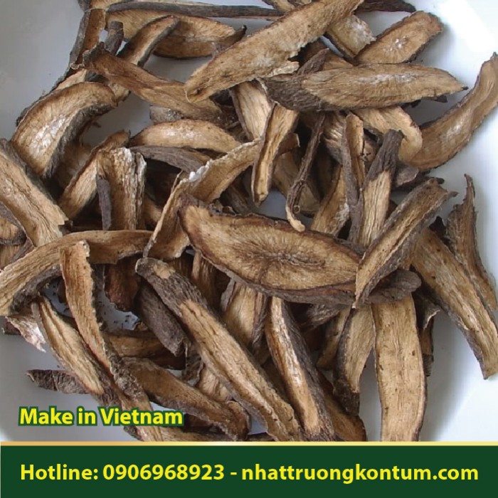 Ngưu Bàng Khô Việt Nam - Arctium lappa Kon Tum Vietnam - Túi 1kg