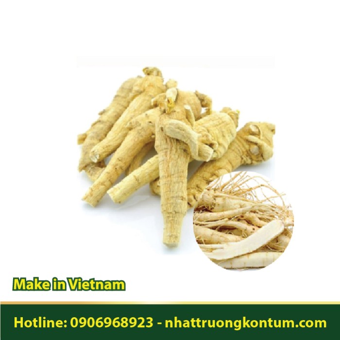 Nhân Sâm Khô - Sâm Châu Á - Bạch Sâm - Panax ginseng - Túi 1kg