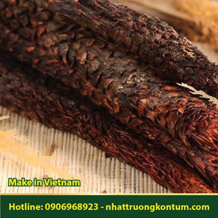 Nhục Thung Dung Khô - Cistanche deserticola Dried - Túi 1kg