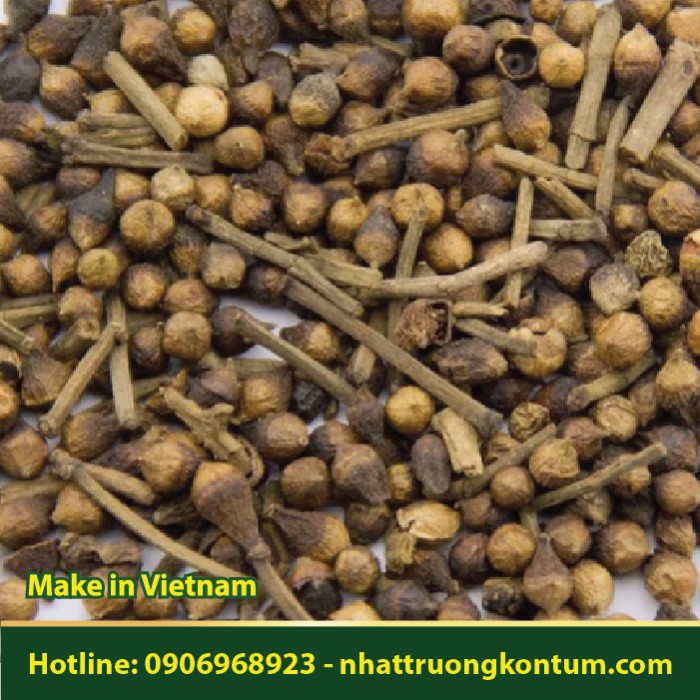 Nụ Vối Khô - Cleistocalyx operculatus Dried Vietnam - Túi 1kg