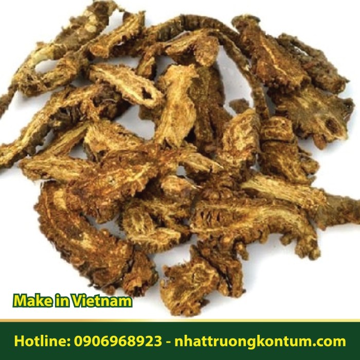 Phòng Phong Việt Nam Nhật Trường - Ledebouriella seseloides Wolf Apiaceae Vietnam dried - Túi 0.5kg