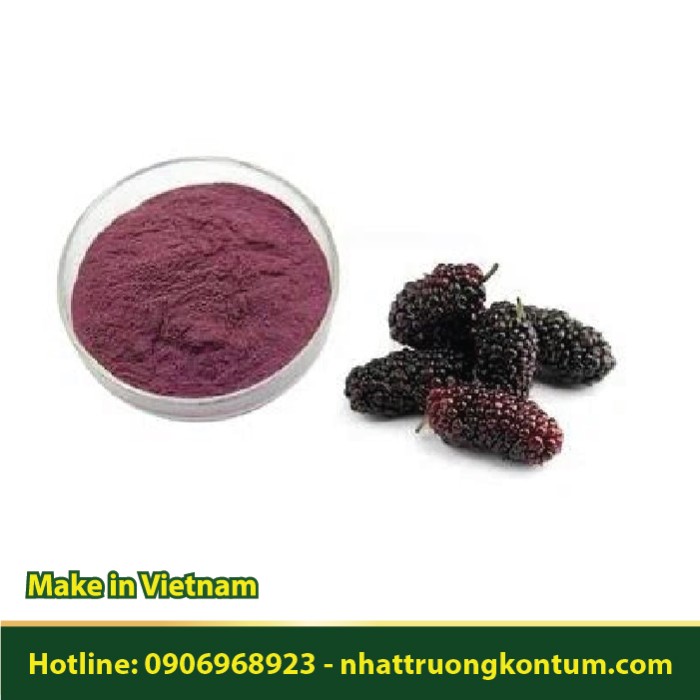 Bột Quả Dâu Tằm - Tang Thầm Tử - Morus alba Powder Vietnam - Túi 1kg