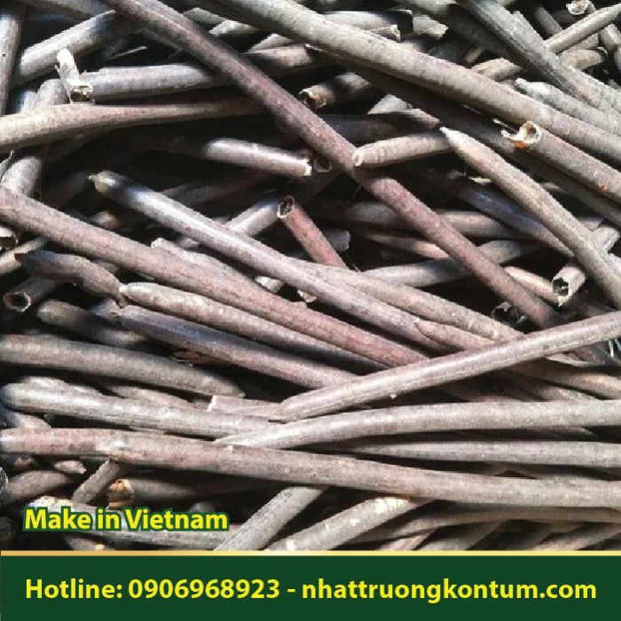 Quả Muồng Hoàng Yến - Cassia fistula - Túi 1kg