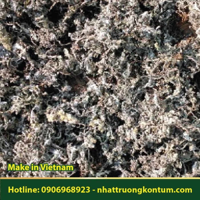Rau Khúc Khô - Gnaphalium affine - Túi 1kg