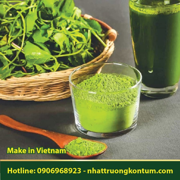 Bột Rau Má - Centella asiatica Leaf Powder Vietnam - Túi 1kg