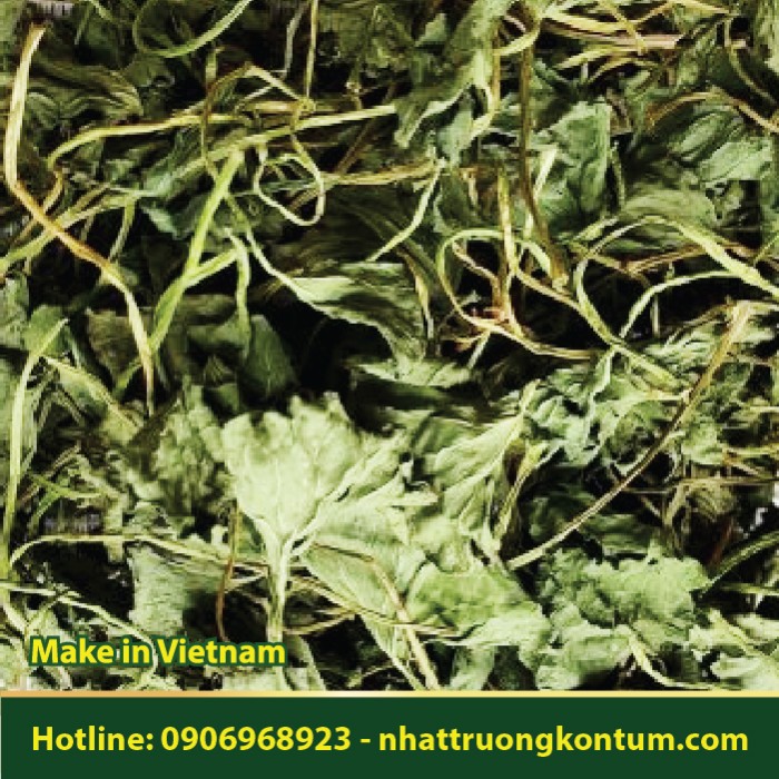 Rau Má Khô - Centella asiatica Leaf Dried Vietnam - Túi 1kg