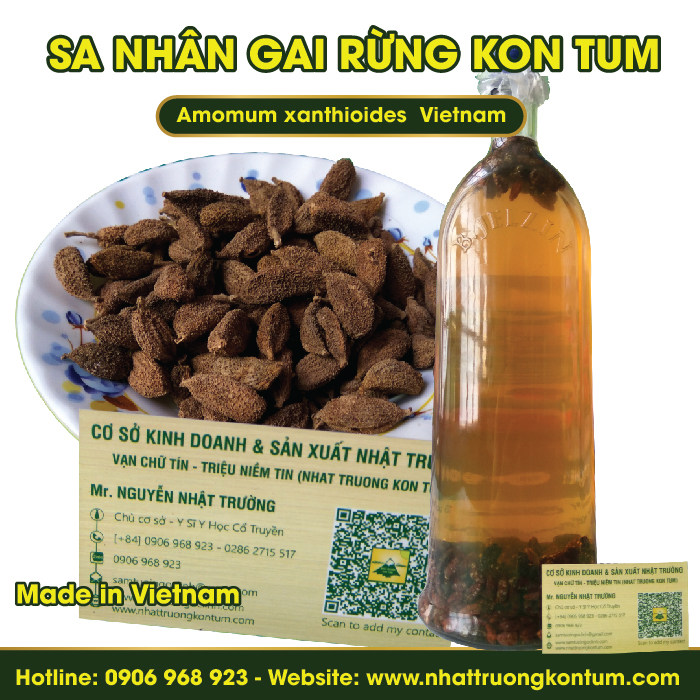 Sa Nhân Gai Rừng Kon Tum - Amomum xanthioides Vietnam - Túi 1kg