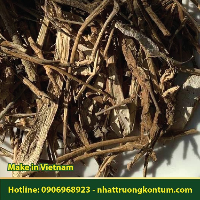 Sài Hồ Bắc - Bupleurum chinense - Túi 1kg