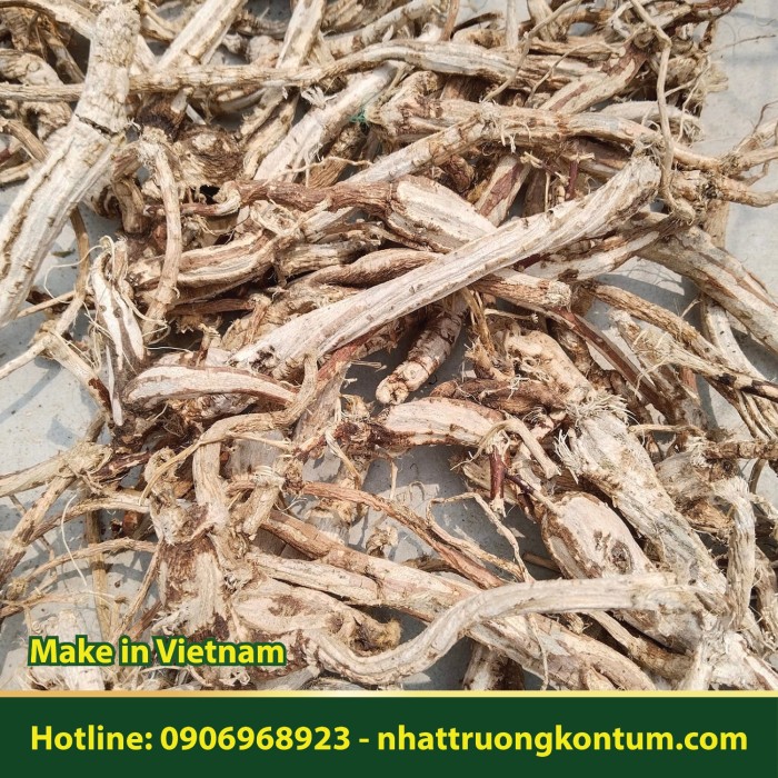 Sâm Bố Chính Nhật Trường Kon Tum (Nguyên Củ) - Abelmoschus sagittifolius Vietnam dried - Túi 1kg