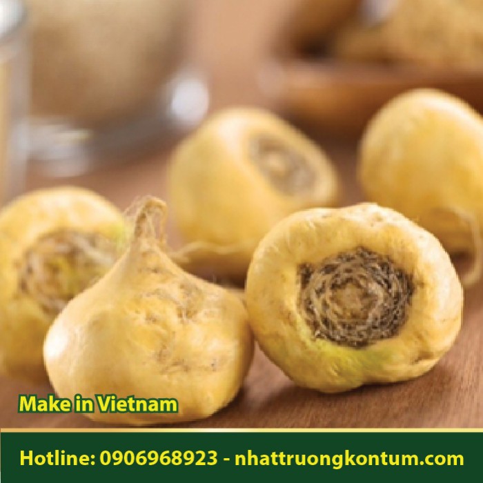 Sâm Maca Peru - Lepidium meyenii  - Túi 1kg