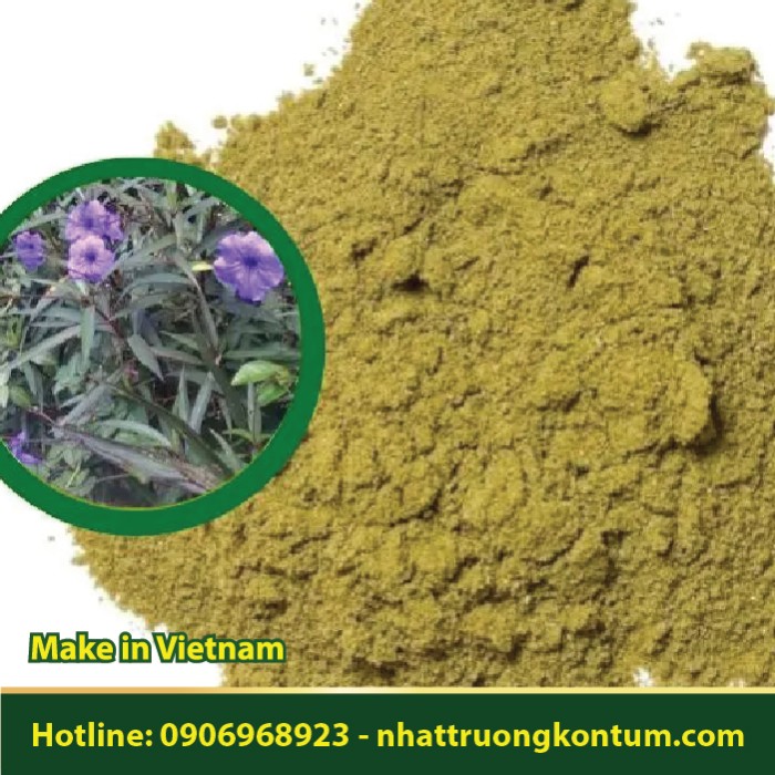 Bột Sâm Nổ - Sâm Tanh Tách - Ruellia tuberosa Powder - Túi 1kg