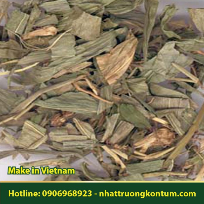 Sâm Tre - Đạm Trúc Diệp - Lophatherum gracile - Túi 1kg